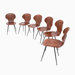 Curved Wooden Chairs Model Lulli by Carlo Ratti for Industria Legni Curvati, Italy, 1950s, Set of 6