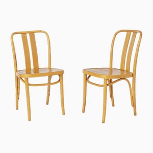Vintage Chairs Lena in Bentwood by Radomsko for Ikea, 1970s, Set of 2