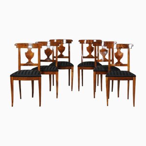 Sedie Biedermeier in noce, set di 6