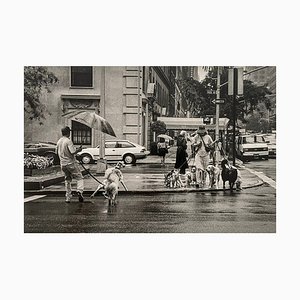 Thomas Consani, New York (Dog Sitters), 1994, Silver Print