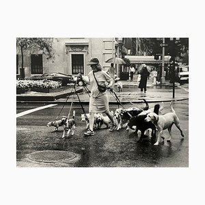 Thomas Consani, New York (Ten Dogs), 1994, Silberdruck