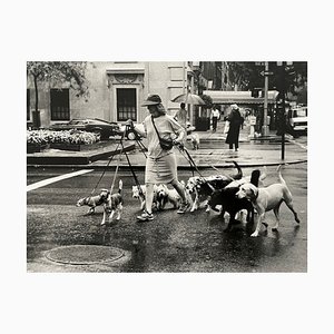 Thomas Consani, New York (Ten Dogs), 1994, Silver Print
