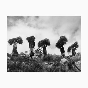 Olivier Le Brun, Ambohimahamasina, Madagascar, Balles of Rice, 1998, Tirage argentique