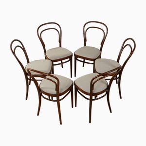 Coffee House Chairs Model 214 by Michael Thonet, 1930s, Set of 6