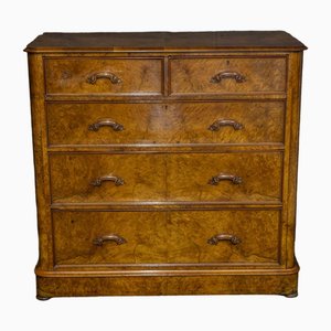 Victorian Burr Walnut Chest