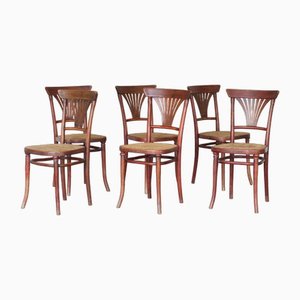 No. 221 Wickerwork Chairs by Michael Thonet for Thonet, 1920s, Set of 6