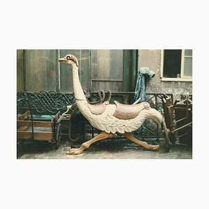 Peter Cornelius, Paris a Colour: Ostrich, 1956-1961 / 2023, Stampa a pigmenti d'archivio