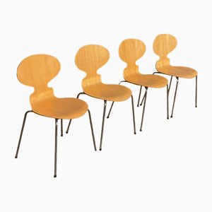 Mid-Century Danish Chairs by Arne Jacobsen for Fritz Hansen 3100, 1974, Set of 4