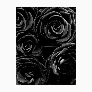 Richard Dunkley, Black Roses, 2006, Impression photo