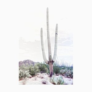 Kristin Hart, Saguaro Desert, Light Grey, 2019, Photographic Print