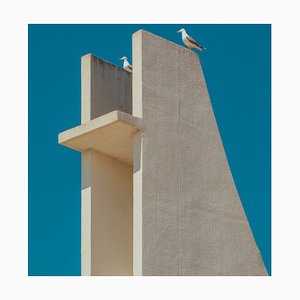 Clemente Vergara, Grande Motte Seagulls 2V, 2021, Lámina fotográfica