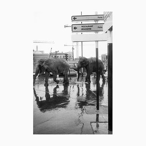 José Nicolas, 004-American Circus Paris, 1985, Silver Gelatin Print