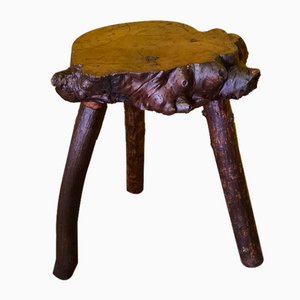 Mid-Century French Handmade Tree Trunk Side Table, 1950s