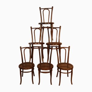 Bistrot Chairs N ° 110 from Fischel, 1900s, Set of 6