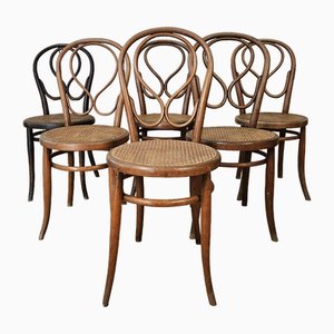 Bistrot Chairs N ° 20 from Fischels, 1890s, Set of 6