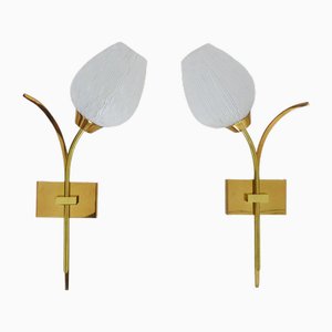 Vintage Wall Lights Strand of Wheat in Brass with Glass Tulips, 1960s