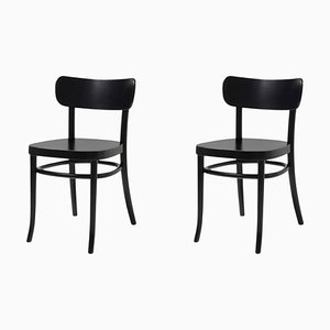 Set of MZO Chairs by Mazo Design