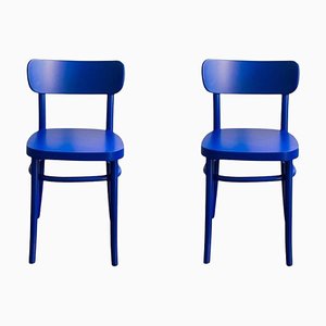 Blue MZO Chairs by Mazo Design, Set of 2