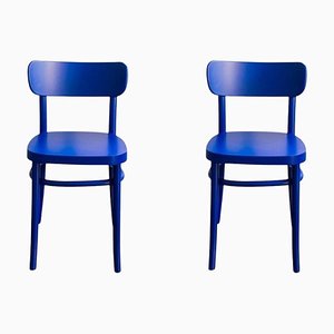 Set of Blue MZO Chairs by Mazo Design