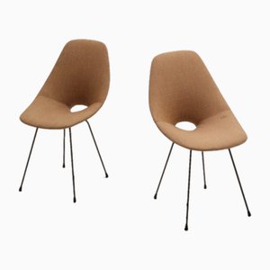 Set of Medea Dining Chairs by Vittorio Nobili for Fratelli Tagliabue, 1950s