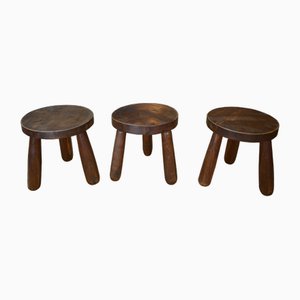 Brutalist Style Stools in Elm, 1950s, Set of 3