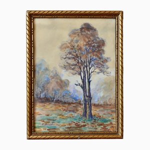 F. Brinster, Paysage de forêt, 1925, Aquarelle, Encadrée