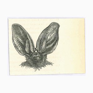 Paul Gervais, The Bat, Lithograph, 1854