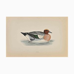 Alexander Francis Lydon, Canard, Gravure sur Bois, 1870