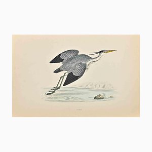 Alexander Francis Lydon, Heron, Woodcut Print, 1870