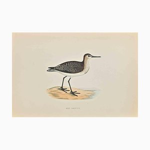 Alexander Francis Lydon, Wood Sandpiper, Woodcut Print, 1870