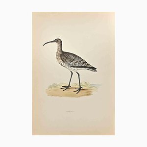 Alexander Francis Lydon, Whimbrel, Woodcut Print, 1870