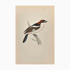 Alexander Francis Lydon, Woodchat, Woodcut Print, 1870