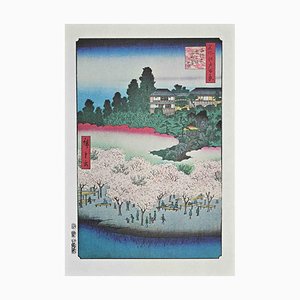 Dopo Utagawa Hiroshige, Cherry Blossoms, XX secolo, litografia