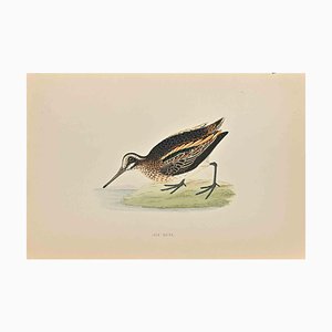 Alexander Francis Lydon, Jack Snipe, Woodcut Print, 1870