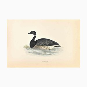 Alexander Francis Lydon, Brent Goose, xilografia, 1870