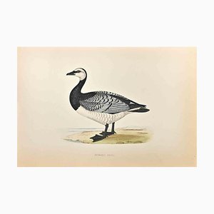 Alexander Francis Lydon, Bernicle Goose, grabado en madera, 1870