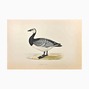 Alexander Francis Lydon, Bernicle Goose, Woodcut Print, 1870