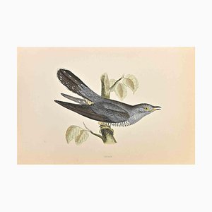 Alexander Francis Lydon, Cuckoo, Woodcut Print, 1870