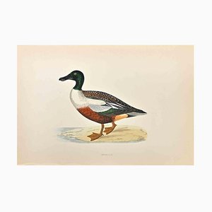 Alexander Francis Lydon, Shoveler, Woodcut Print, 1870