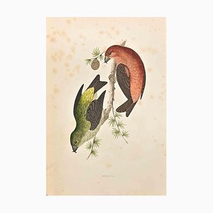 Alexander Francis Lydon, Grossbill, Holzschnitt, 1870