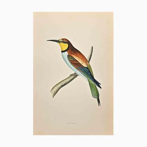 Alexander Francis Lydon, Bee-Eater, Woodcut Print, 1870