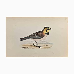 Alexander Francis Lydon, Shore Lark, Woodcut Print, 1870