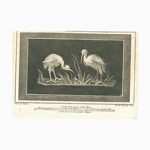 Carlo Oraty, Antikes römisches Fresko, Radierung, 18. Jh.