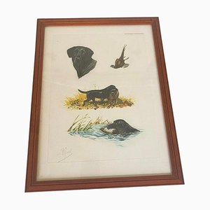 Boris Riabouchine, Hunting Scenes with Animals, 20th Century, Engraving in Color, Framed