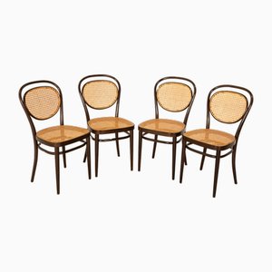 98 Stühle aus Holz von Thonet, 4 . Set