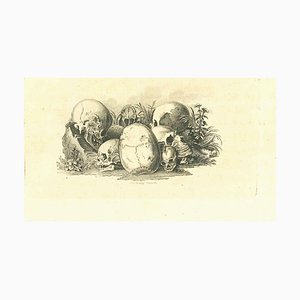 Thomas Holloway, Cráneos: la fisonomía, aguafuerte, 1810