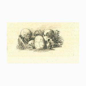 Thomas Holloway, Skulls: The Physiognomy, Etching, 1810