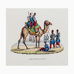 Unknown, Dromedary, Hand Colored Lithograph, 19th Century