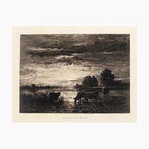 Constant Troyon, Paturage : Clair de Lune, Eau-forte, XIXe siècle
