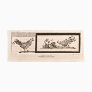 Niccolò Vanni, Decoration with Animals, Etching, 18th Century